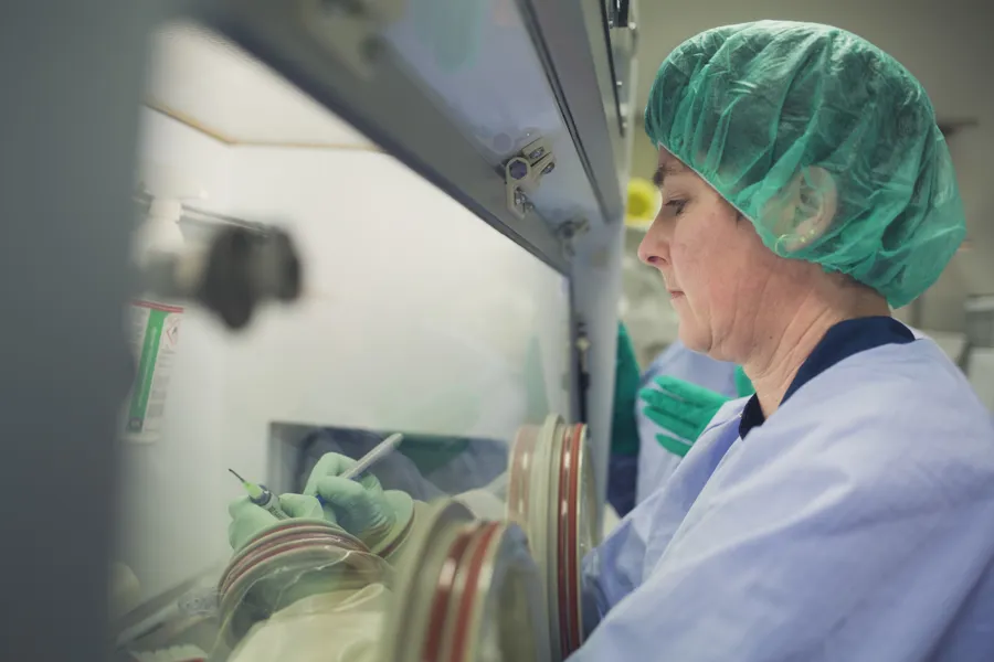 En lege som ser på en pasient