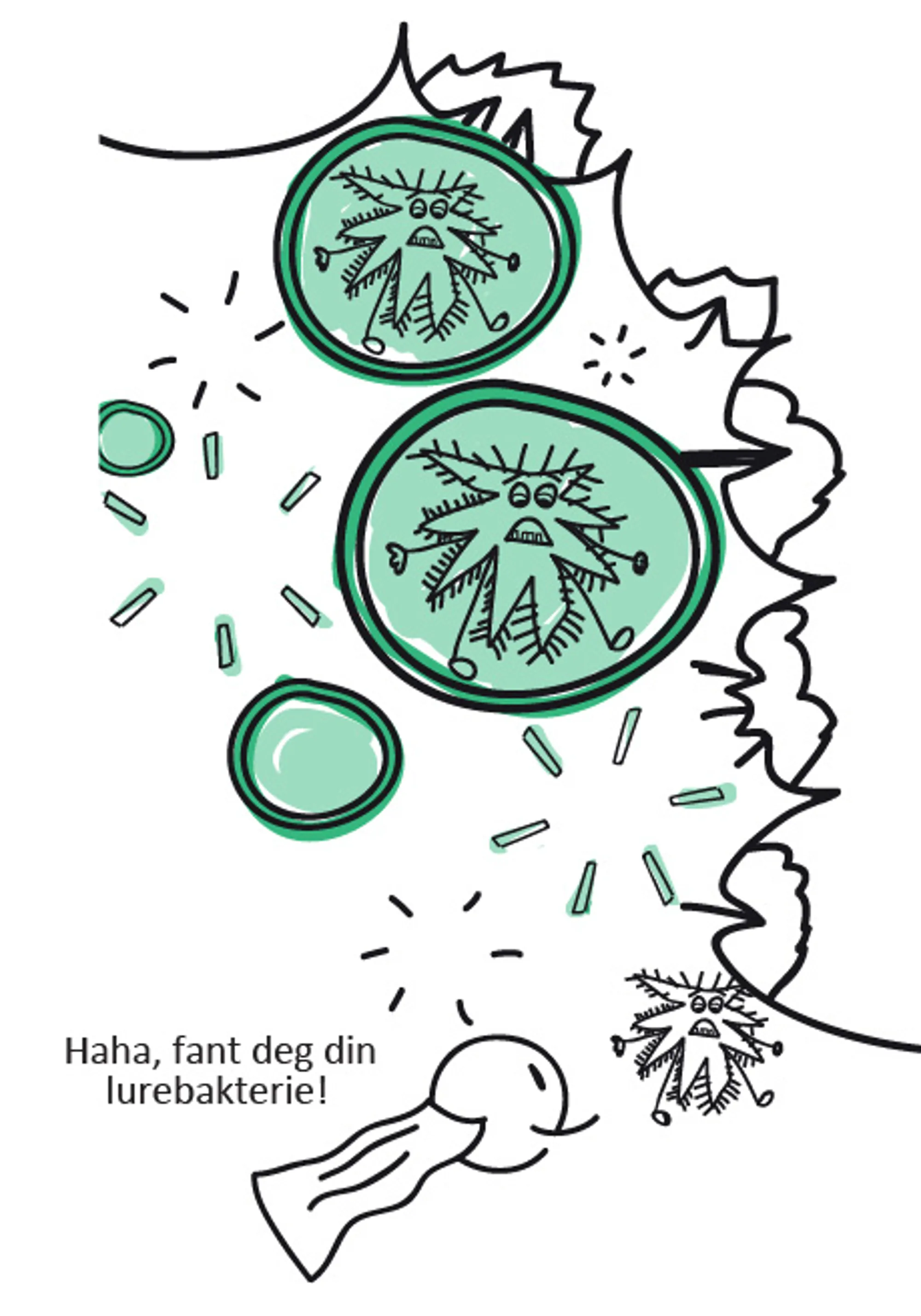 Form, sirkel