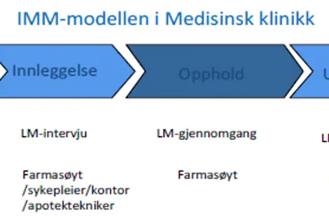 IMM-modellen.png